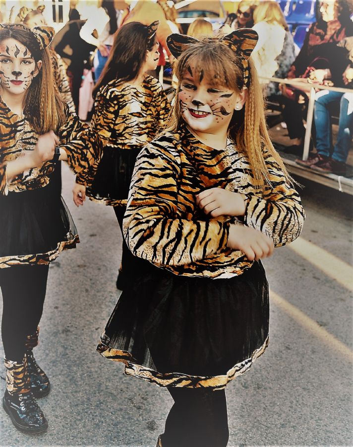 CARNAVAL INFANTIL CABEZO DE TORRES MURCIA VIERNES  - 308