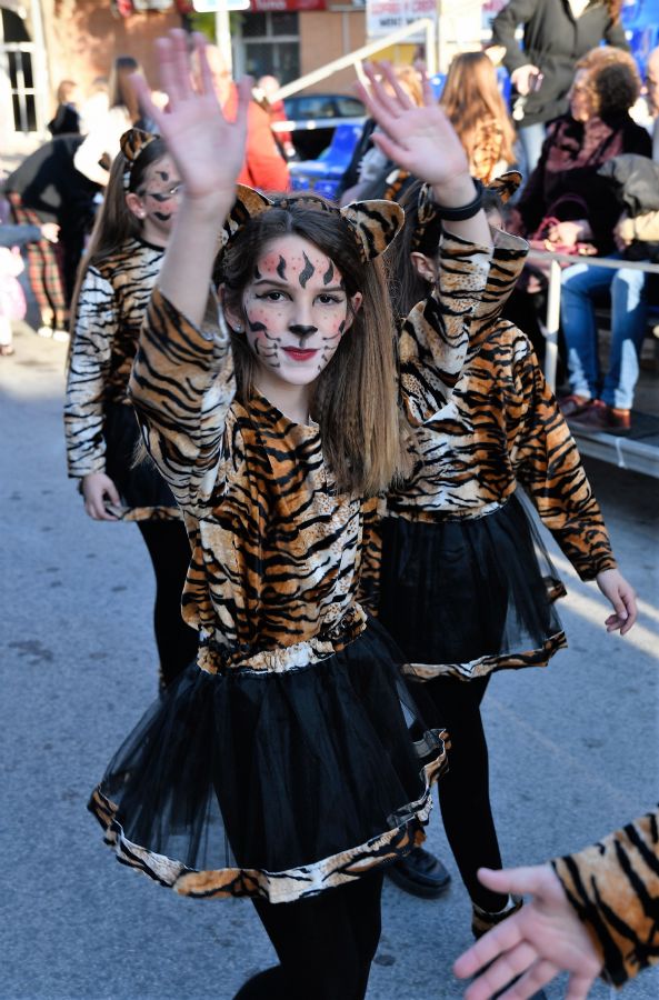 CARNAVAL INFANTIL CABEZO DE TORRES MURCIA VIERNES  - 309