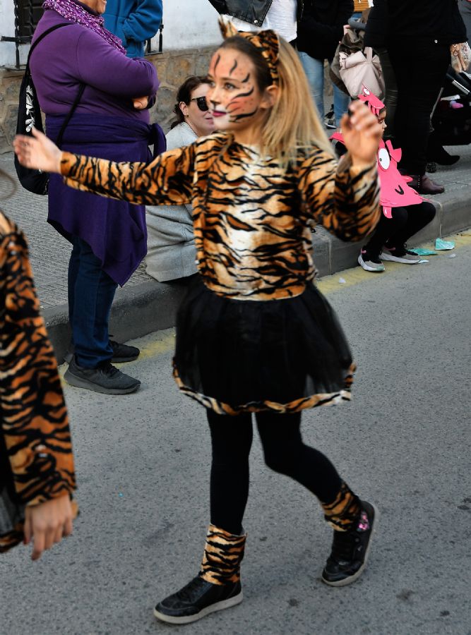 CARNAVAL INFANTIL CABEZO DE TORRES MURCIA VIERNES  - 315