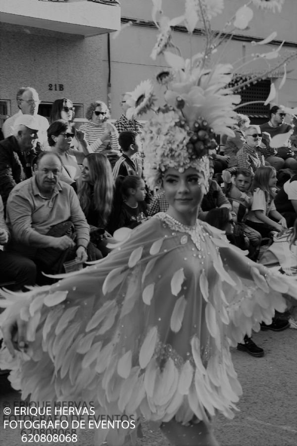 MARTES CARNAVAL CABEZO DE TORRES MURCIA - 142