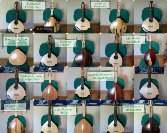 Instrumentos robados del taller de Diego Gallego, D. Urko