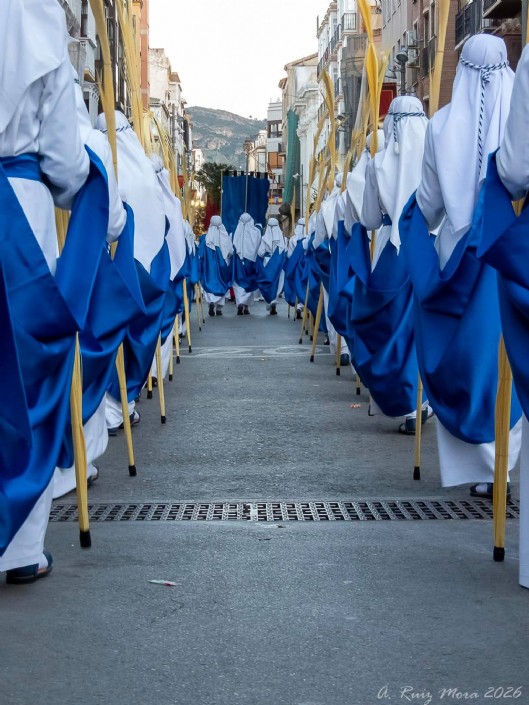 Procesión del Domingo de Ramos