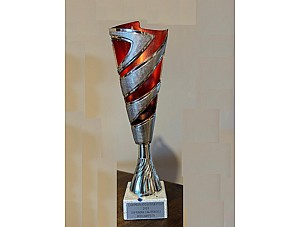 Campeonato de kayak polo