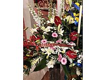 Ofrenda Floral y  LXIV Tradicional Besamano a la Stma. Virgen del Primer Dolor. - Foto 15