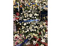 Ofrenda Floral y  LXIV Tradicional Besamano a la Stma. Virgen del Primer Dolor. - Foto 17